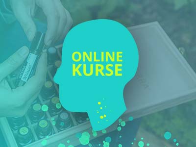 programm3-online-kurse